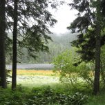 Velké Javorské jezero 6